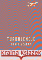 Turbulencje Szalay David 9788395703065 Pauza - książka