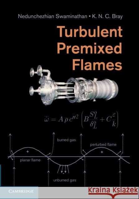 Turbulent Premixed Flames Nedunchezhian Swaminathan K. N. C. Bray 9781107679061 Cambridge University Press - książka