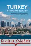 Turkey in the Global Economy Bulent (Keele University) Gokay 9781788210836 Agenda Publishing