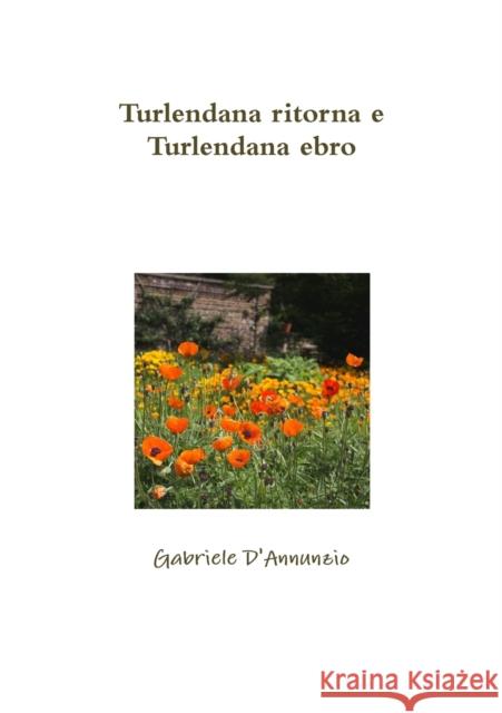 Turlendana ritorna e Turlendana ebro D'Annunzio, Gabriele 9780244327033 Lulu.com - książka