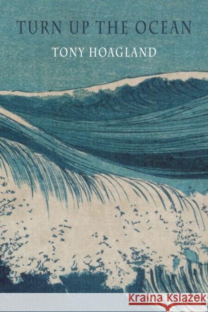 Turn Up the Ocean Tony Hoagland 9781780376318 Bloodaxe Books Ltd - książka