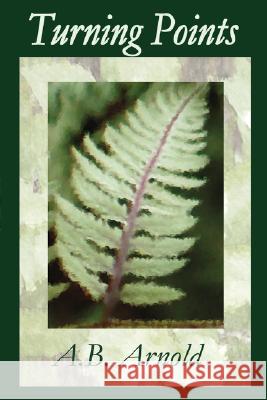 Turning Points A.B. Arnold 9780615165790 Quintessence - książka