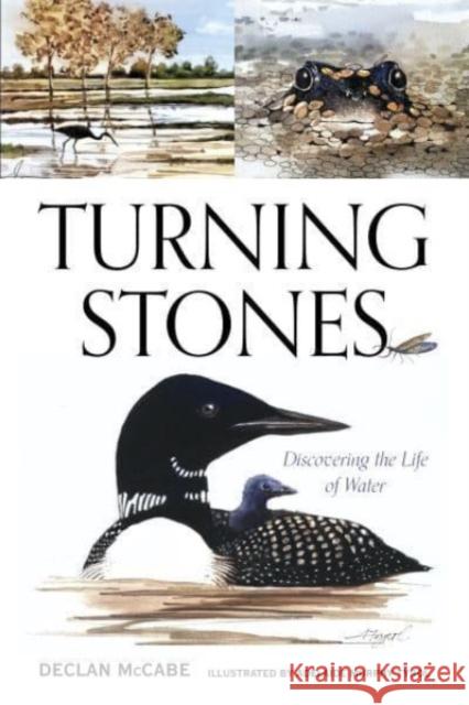 Turning Stones: Discovering the Life of Water Declan McCabe 9781684751839 Down East Books - książka