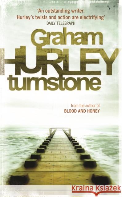 Turnstone Graham Hurley 9781409120056  - książka