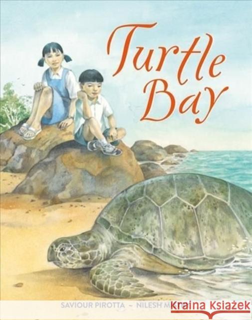 Turtle Bay Nilesh Mistry Saviour Pirotta 9781913074364 Otter-Barry Books Ltd - książka