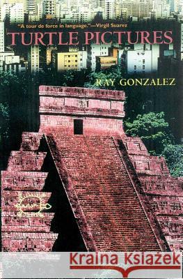 Turtle Pictures Ray Gonzalez 9780816519644 University of Arizona Press - książka