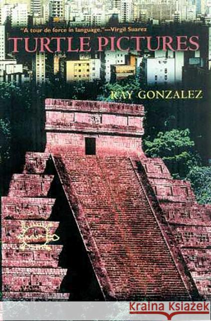 Turtle Pictures Ray Gonzalez 9780816519668 University of Arizona Press - książka
