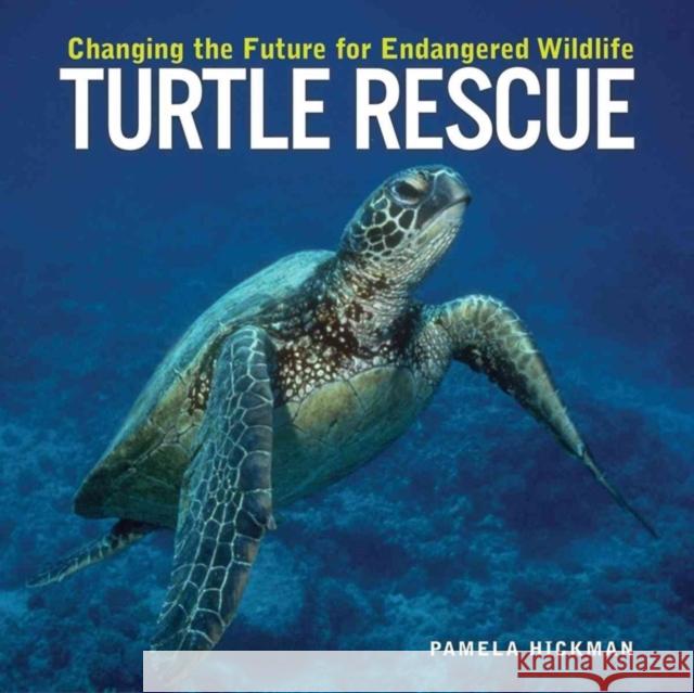 Turtle Rescue: Changing the Future for Endangered Wildlife Hickman, Pamela 9781552979150 Firefly Books - książka