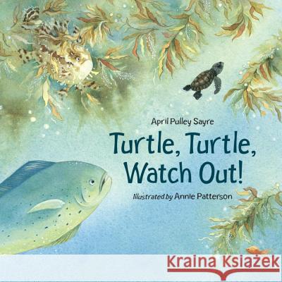 Turtle, Turtle, Watch Out!  9781580891493 Charlesbridge Publishing - książka