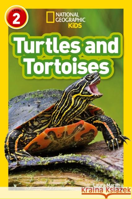 Turtles and Tortoises: Level 2 National Geographic Kids 9780008266660 HarperCollins Publishers - książka