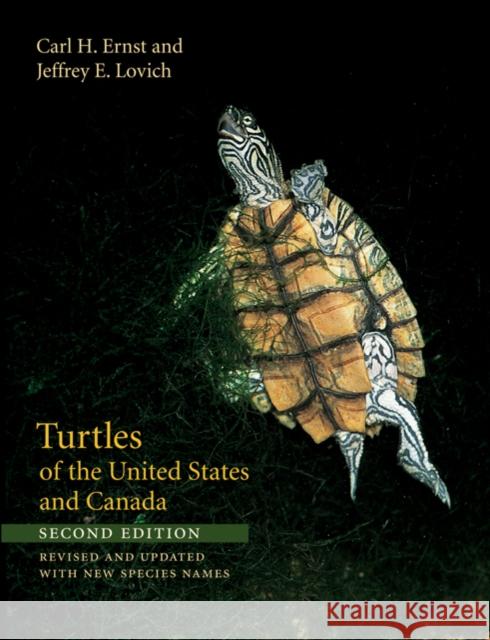 Turtles of the United States and Canada Carl H. Ernst Jeffrey E. Lovich 9780801891212 Johns Hopkins University Press - książka