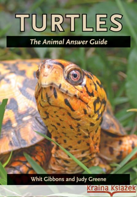 Turtles: The Animal Answer Guide Gibbons, Whit 9780801893490 Johns Hopkins University Press - książka