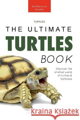 Turtles The Ultimate Turtles Book: Discover the Shelled World of Turtles & Tortoises Jenny Kellett   9786192641696 Bellanova Books - książka