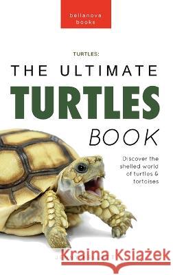 Turtles The Ultimate Turtles Book: Discover the Shelled World of Turtles & Tortoises Jenny Kellett   9786192641702 Bellanova Books - książka