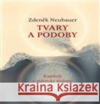 Tvary a podoby Zdeněk Neubauer 9788075305619 Malvern - książka