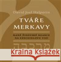 Tváře merkavy David Halperin 9788075301062 Malvern - książka