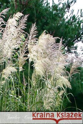 Twelve Catholic Men Of Science Windle M. D., Bertram 9781478149101 Createspace - książka