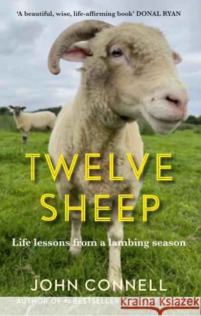 Twelve Sheep: Life lessons from a lambing season John Connell 9781805461906 Atlantic Books - książka