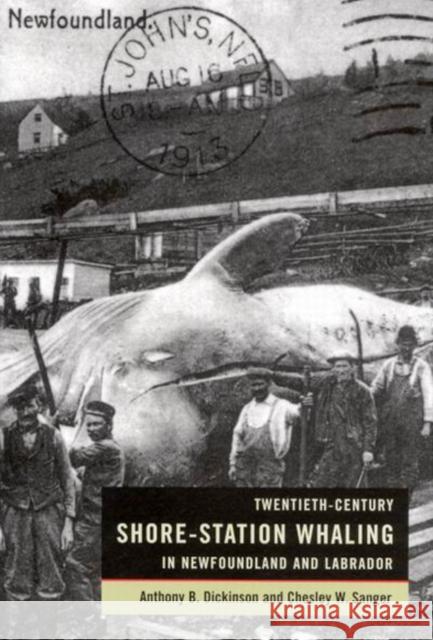 Twentieth-Century Shore-Station Whaling in Newfoundland and Labrador Anthony B. Dickinson Chesley W. Sanger 9780773528819 McGill-Queen's University Press - książka