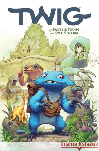 Twig, Volume 1 Skottie Young Kyle Strahm 9781534323469 Image Comics - książka