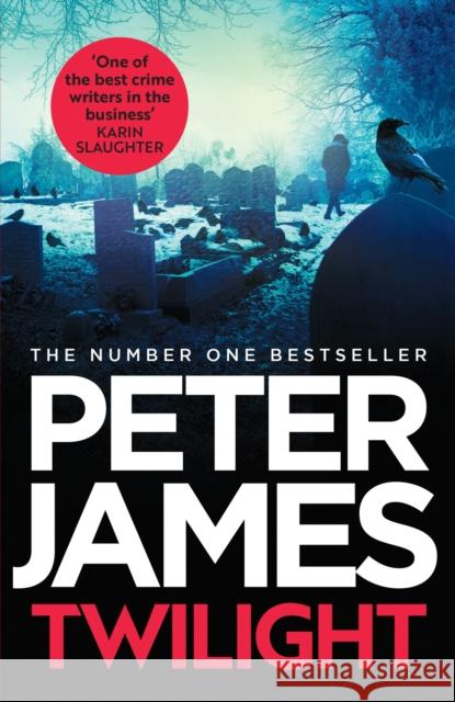 Twilight Peter James 9781398727564 Orion Publishing Co - książka