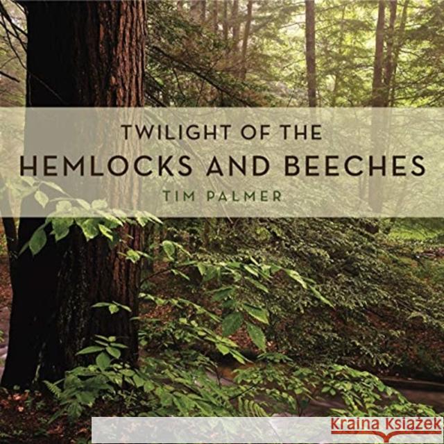 Twilight of the Hemlocks and Beeches Tim Palmer 9780271079530 Penn State University Press - książka