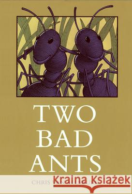 Two Bad Ants Chris Va 9780395486689 Houghton Mifflin Company - książka