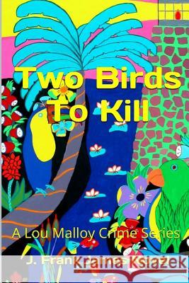 Two Birds To Kill James, J. Frank 9781495366284 Createspace - książka