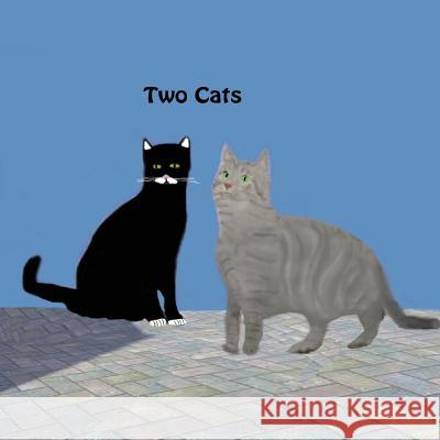 Two Cats Jo Davidson 9781512271621 Createspace - książka