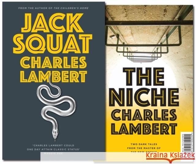 Two Dark Tales: Jack Squat and The Niche Lambert, Charles 9781910709290 Gallic Books - książka