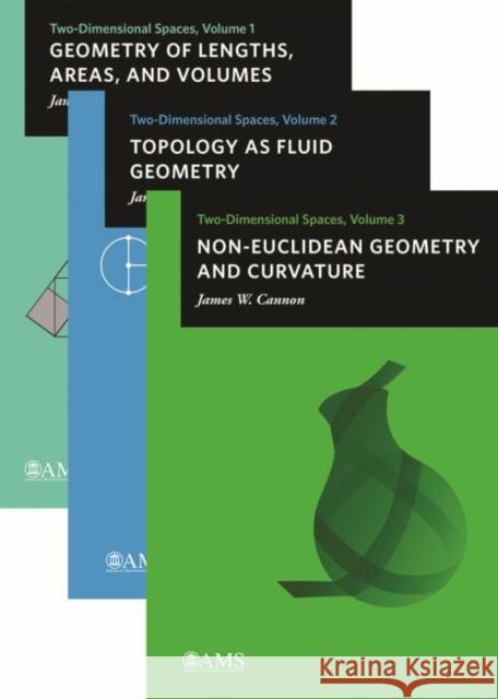 Two-Dimensional Spaces, Volumes 1, 2, and 3 James W. Cannon   9781470443238 American Mathematical Society - książka