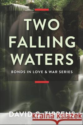 Two Falling Waters David G. Tippens 9781956856286 Thewordverve - książka