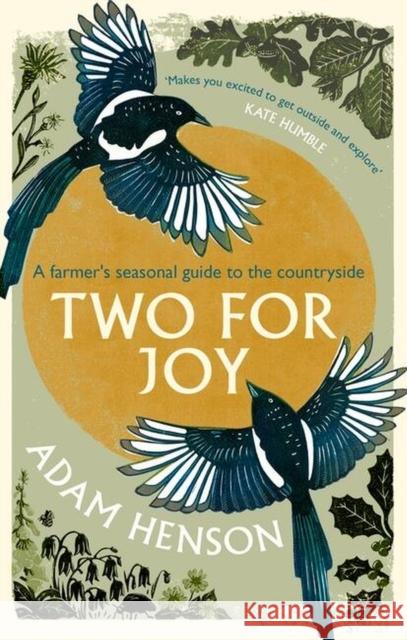 Two for Joy: The untold ways to enjoy the countryside Adam Henson 9781408727386 Little, Brown Book Group - książka