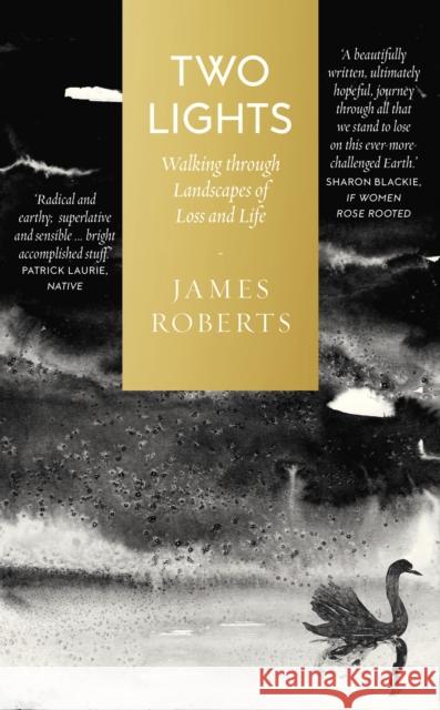 Two Lights: Walking Through Landscapes of Loss and Life James Roberts 9781912836178 Duckworth Books - książka