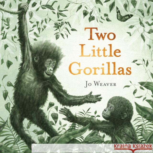 Two Little Gorillas Jo Weaver 9781444973914 Hachette Children's Group - książka