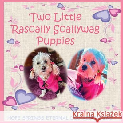 Two Little Rascally Scallywag Puppies Chris Anne Moore Chris Anne Moore 9781764106016 Christine Moore - książka