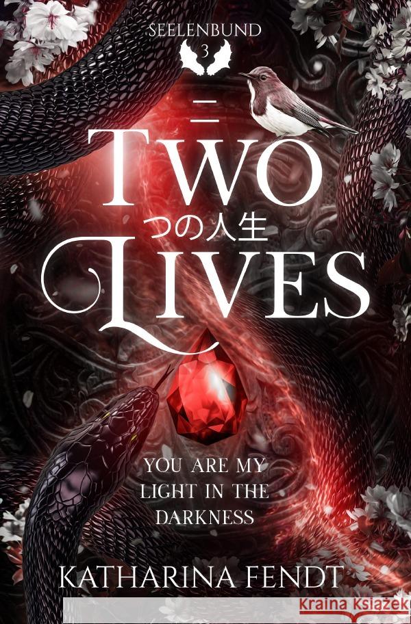 Two Lives: You are my light in the darkness ( Seelenbund-Trilogie Band 3 ) Fendt, Katharina 9783758437519 epubli - książka