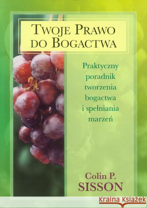 Twoje prawo do bogactwa Sisson Colin P. 9788387025922 Medium - książka