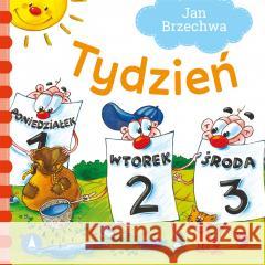 Tydzień Jan Brzechwa 9788382073898 Skrzat - książka