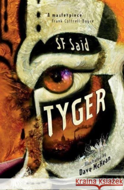 Tyger SF Said 9781788452915 David Fickling Books - książka