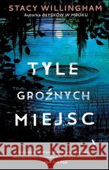 Tyle groźnych miejsc Stacy Willingham 9788326844683 Agora - książka