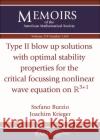 Type II blow up solutions with optimal stability properties for the critical focussing nonlinear wave equation on $\mathbb ^{3+1}$ Joachim Krieger 9781470453466 American Mathematical Society