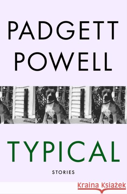 Typical: Stories Powell, Padgett 9781480464193 Open Road Media - książka