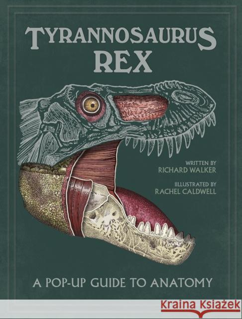 Tyrannosaurus rex: A Pop-Up Guide to Anatomy Dougal Dixon Rachel Caldwell  9781787413344 Templar Publishing - książka