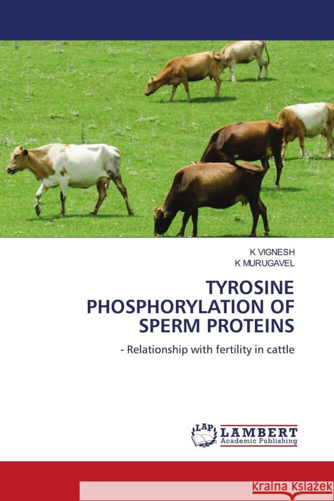 TYROSINE PHOSPHORYLATION OF SPERM PROTEINS VIGNESH, K, MURUGAVEL, K 9786208171360 LAP Lambert Academic Publishing - książka