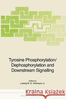 Tyrosine Phosphorylation/Dephosphorylation and Downstream Signalling Ludwig M. G. Jr. Heilmeyer 9783642782497 Springer - książka