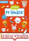 Uczymy się. Rysujemy po śladzie  9788366356436 Books and Fun