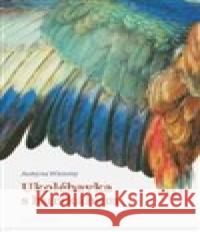 Ukolébavka s hurikánem Justyna Wicenty 9788088126843 Cesta domů - książka