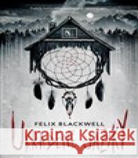 Ukradené jazyky Felix Blackwell 9788027722594 Fobos - książka