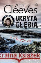 Ukryta głębia Ann Cleeves 9788324183449 Amber - książka